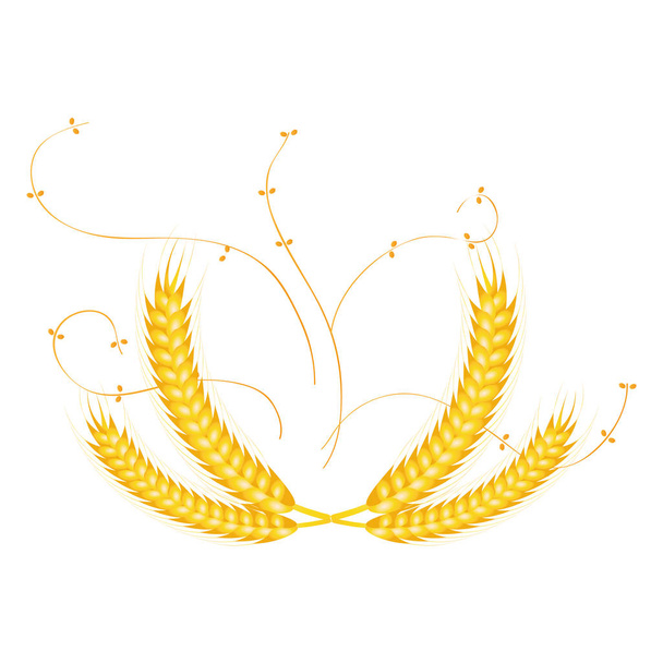 Isolated wheat illustration - ベクター画像