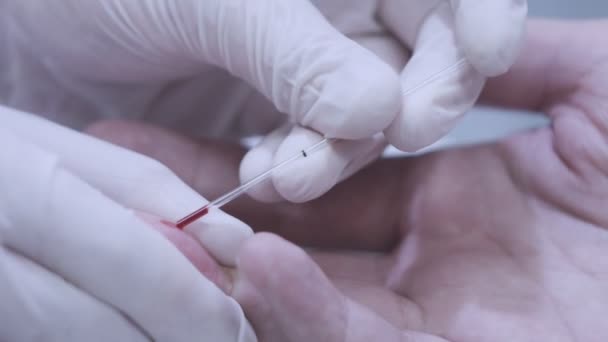 Der Arzt entnimmt eine Blutprobe für einen medizinischen Test. Fingerblut-Test - Filmmaterial, Video