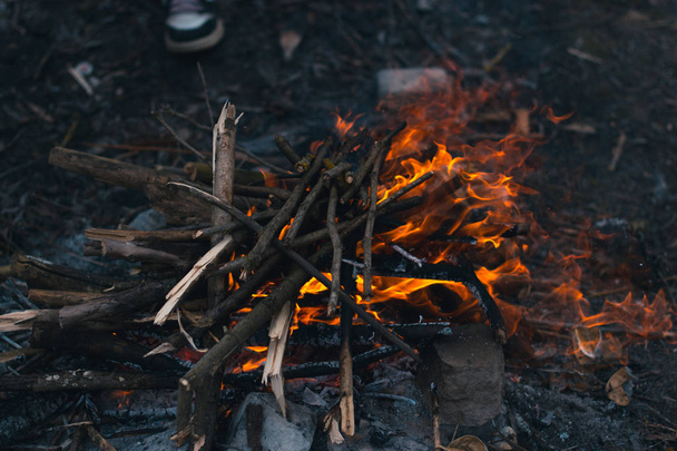 Bonfire in the spring on the nature. - Foto, Imagem