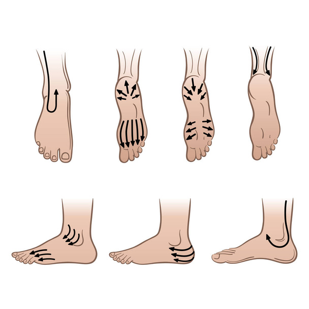 Man feet with massaging lines - Vector, afbeelding