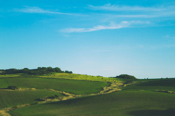 Nuages du matin ciel bleu prairie verte perspective pâturage
 - Photo, image