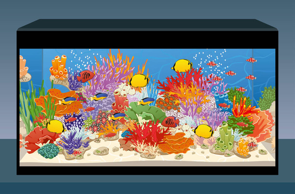 Mariene rif zoutwater aquarium - Vector, afbeelding