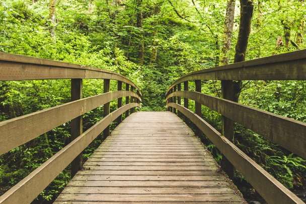 Wooden Bridge in Lush Forest - Фото, изображение
