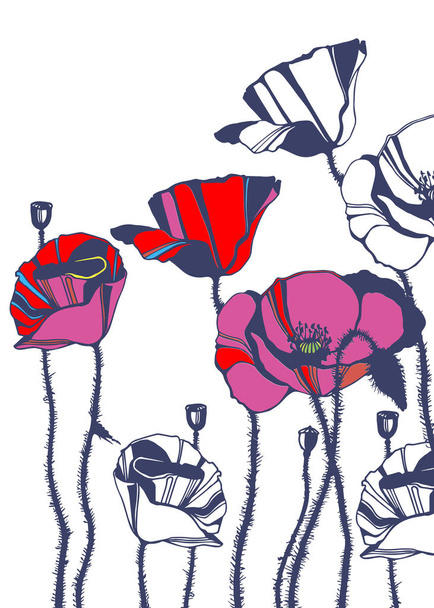 poppy nature flower vector plant pattern - Вектор,изображение