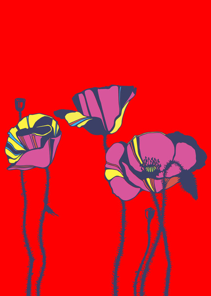 poppy nature flower vector plant pattern - Διάνυσμα, εικόνα