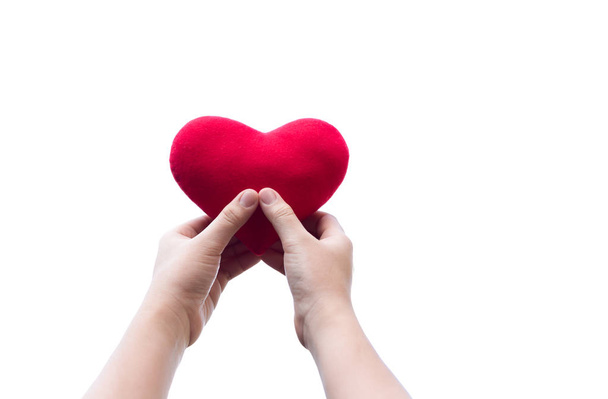 Mão segurando forma coração vermelho isolado
  - Foto, Imagem