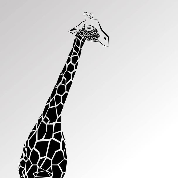 Zwierzęta Żyrafa wektor Afryki ilustracja safari ssak Afryki kreskówka wysoki - Wektor, obraz