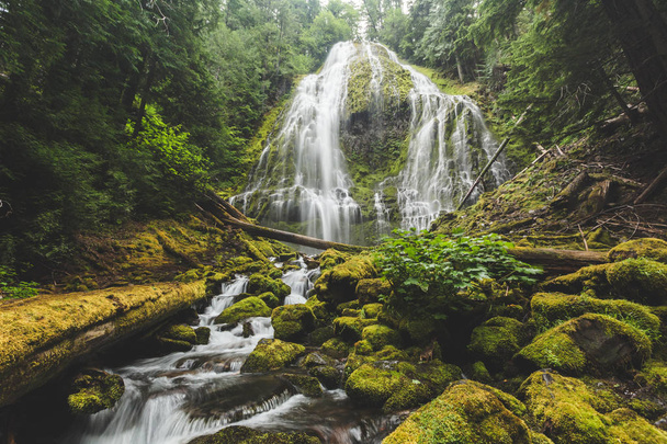 Beautiful Waterfall in Lush Forest - Fotoğraf, Görsel
