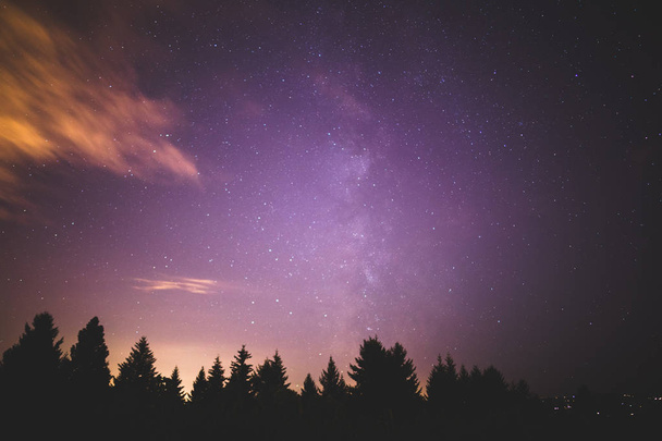 Via Láctea sobre árvores florestais
 - Foto, Imagem