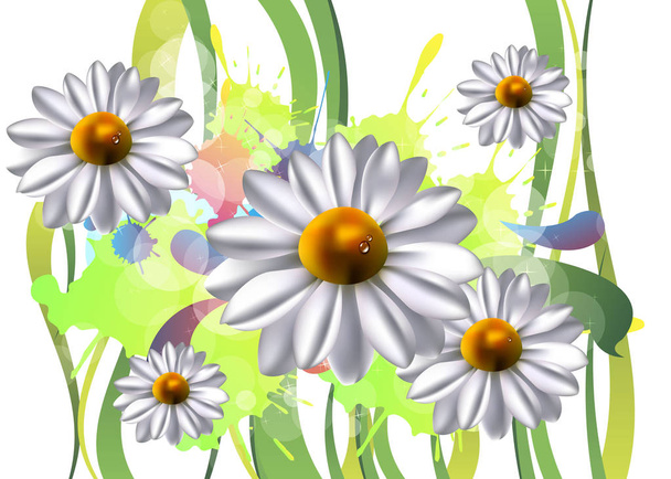 flower vector floral white summer chamomile - Vettoriali, immagini