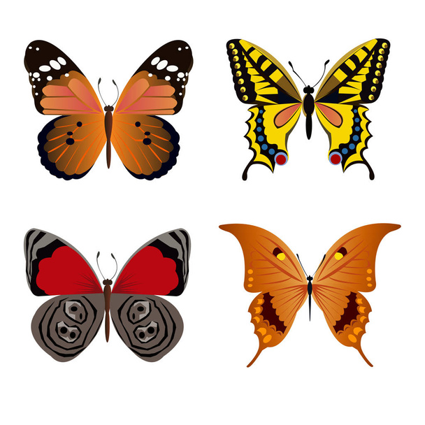 векторний метелик комаха мистецтво білий декоративний
 - Вектор, зображення