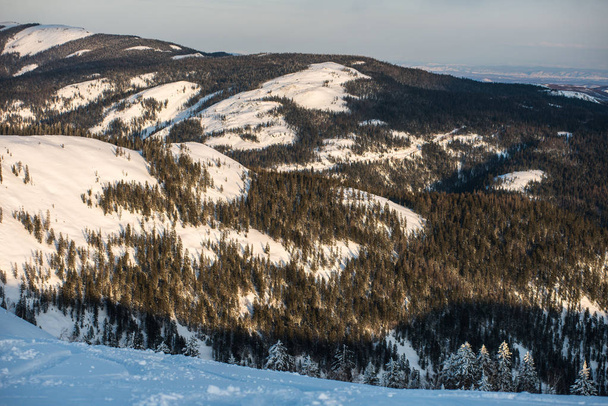 Зимові дерева в горах вкриті свіжим снігом
 - Фото, зображення