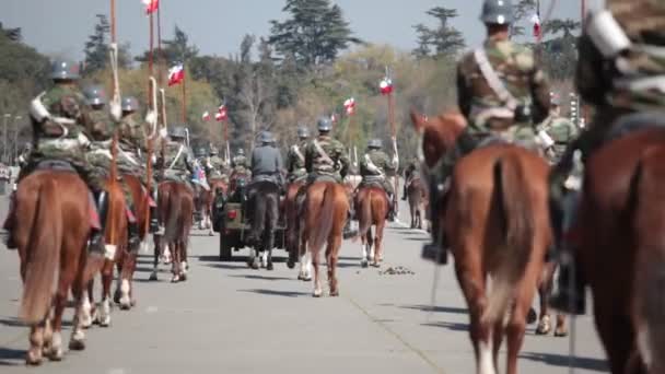 Soldati a cavallo in una parata
. - Filmati, video