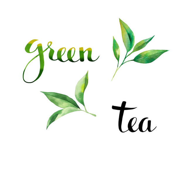 tea design set - Photo, image