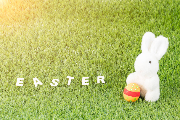 Bunny toys and Easter eggs with text  - Φωτογραφία, εικόνα
