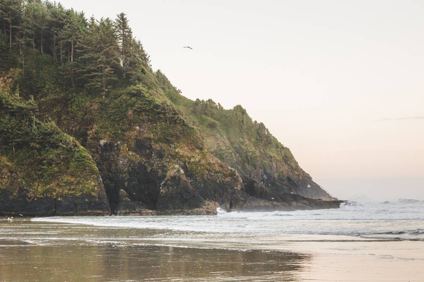 Strand zeezicht op de kust van Oregon - Foto, afbeelding