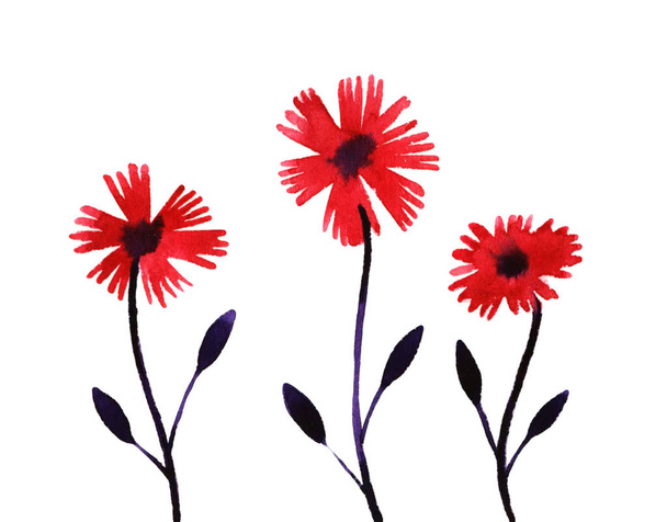 watercolor flowers illustration - Foto, Imagen