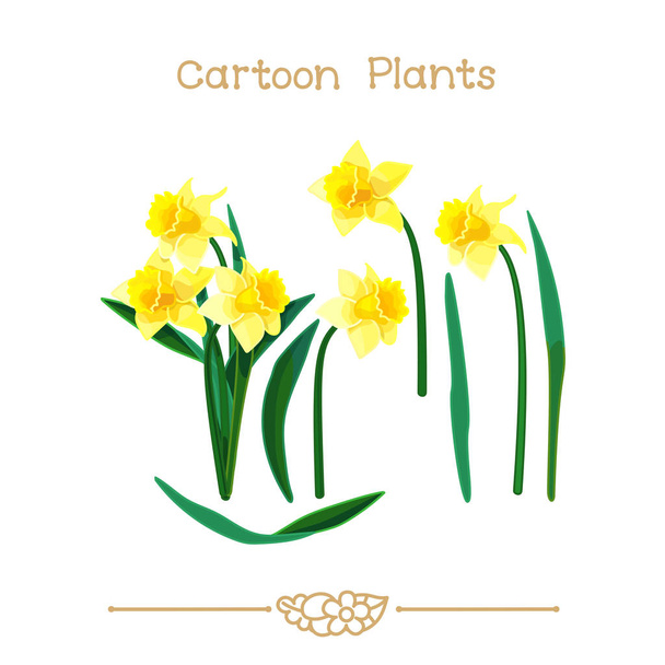  Plantae series cartoon plants: Narcissus set - Vetor, Imagem