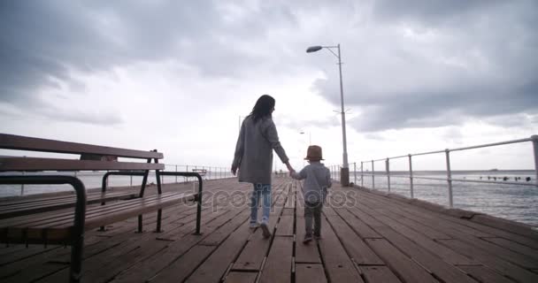 Mother and son walking on pier - Кадры, видео