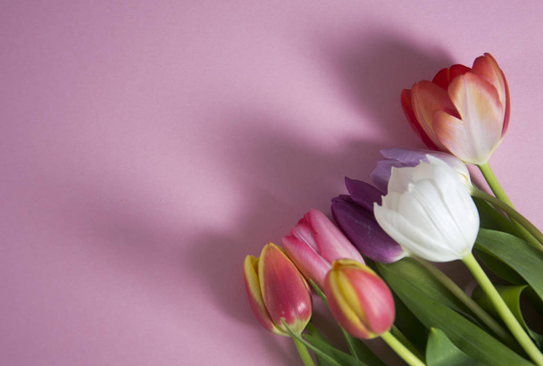 ein bunter Frühlingshintergrund mit Tulpen - Foto, Bild