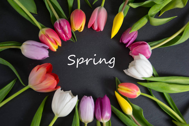 a colourful spring background with tulips - Фото, зображення