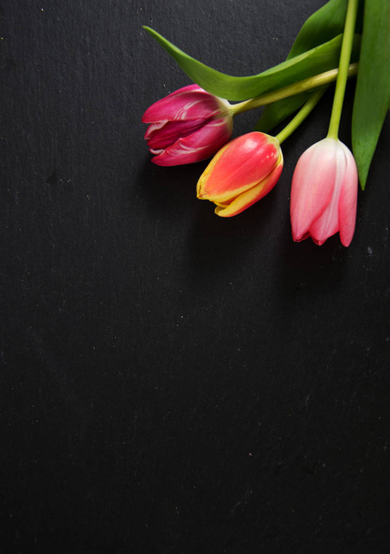 a colourful spring background with tulips - Valokuva, kuva
