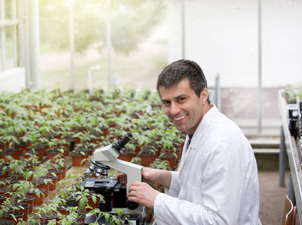 Scientist with microscope in green house - Fotografie, Obrázek