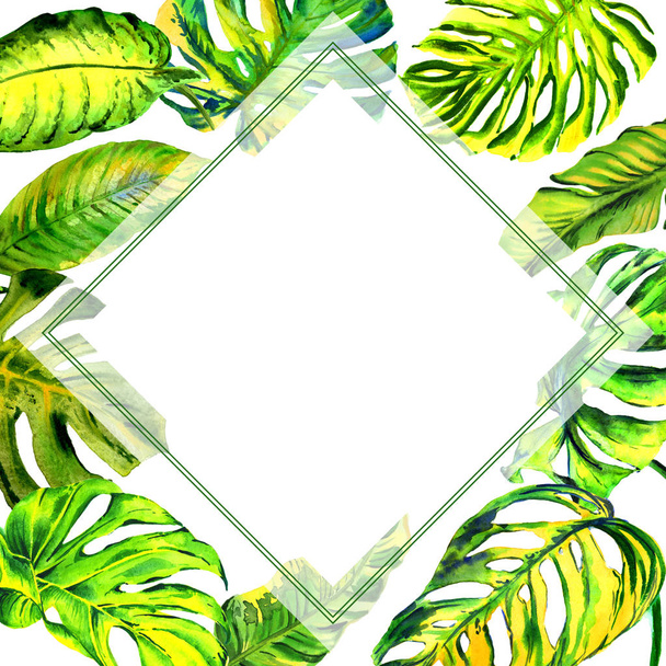 エキゾチックな熱帯ハワイのヤシの木は白に孤立した葉 水彩背景イラストセット コピースペース付きフレームオーナメント ロイヤリティフリー写真 画像素材