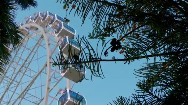 Malaga Ferris Wheel, également connue sous le nom de Noria Mirador Princess, est une roue d'observation stellaire de 70 mètres de haut basée dans le port de Malaga, en Espagne. Attraction offre une vue panoramique à couper le souffle jusqu'à 30 kilomètres
. - Séquence, vidéo