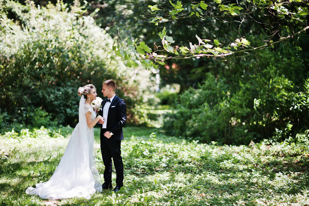 Stylish and gorgeous wedding couple walking outdoor at park on s - Foto, immagini