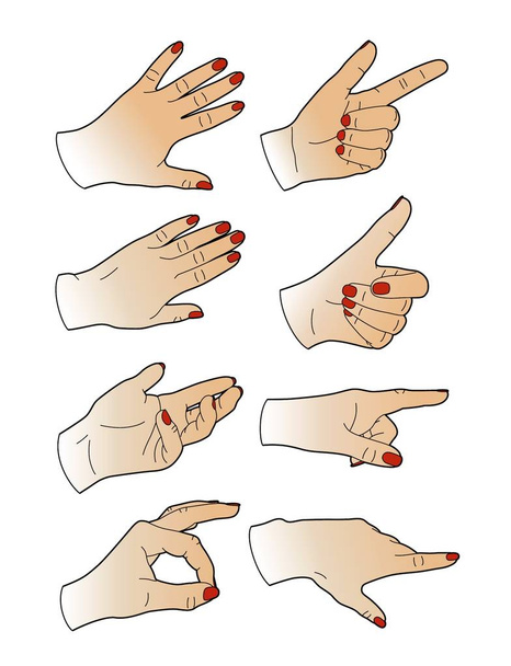 Eight woman hands - Vector, Image