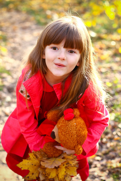 Surprised little girl with maple leaves and teddy bear in the au - Фото, изображение