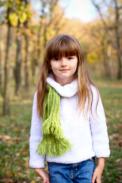 Little girl in autumn wood on a background of yellow trees - Foto, imagen