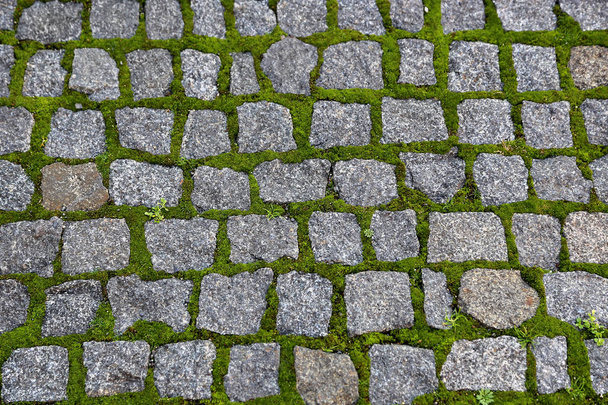 Road paved with stones and sprouted green moss  - Photo, Image