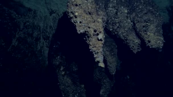 Wewnątrz ciemnym pod wodą jaskini, Palau - Materiał filmowy, wideo