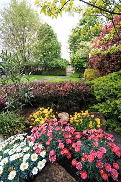 flower garden in spring - Photo, Image