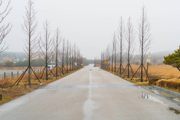 empty road under cloudy sky - Fotografie, Obrázek