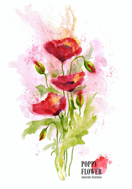 Bouquet red poppy flowers on white background. Watercolor illustration. - Fotoğraf, Görsel