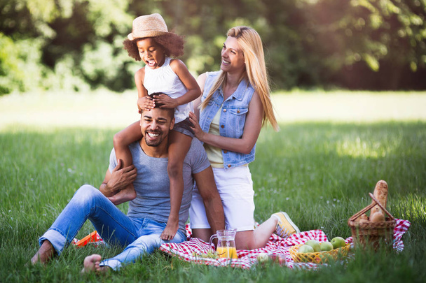 Family having fun on picnic - Zdjęcie, obraz