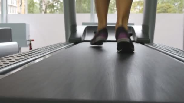 Ženské nohy běží na běžeckém pásu v posilovně. Mladá žena cvičení během kardio cvičení. Nohy dívek ve sportovní obuv školení vnitřní sport klubu. Detailní záběr - Záběry, video