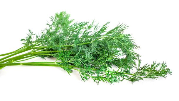 bunch fresh, green dill on a white background - Photo, Image