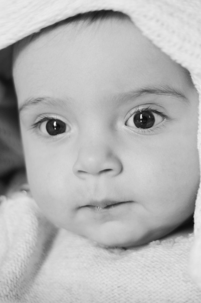 Baby portrét - Fotografie, Obrázek