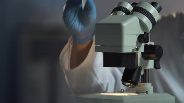 Laboratory assistant researching the spreading speed of new breed bacteria - Filmagem, Vídeo