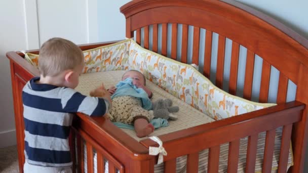 Toddler watches his newborn brother in crib - Materiał filmowy, wideo