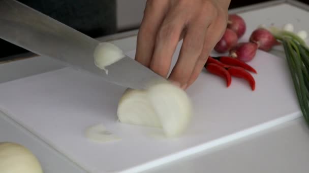  Picar cebolla antes de cocinar
 - Metraje, vídeo