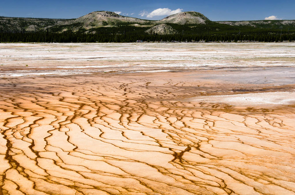 Kolorowe fale w źródła termalne w Parku Narodowym Yellowstone, Stany Zjednoczone Ameryki - Zdjęcie, obraz