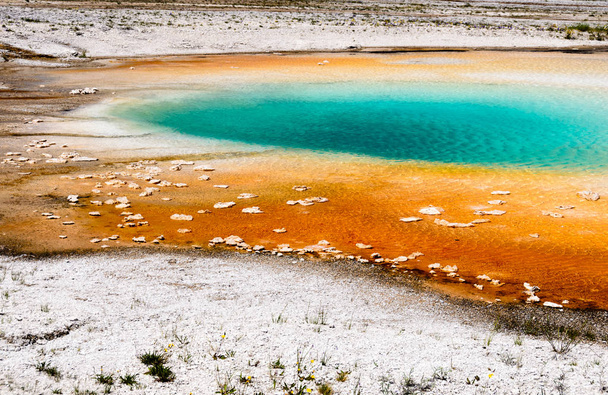 Coloridas aguas termales en el Parque Nacional de Yellowstone, Estados Unidos
 - Foto, imagen