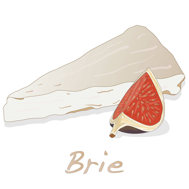 Brie cheese vector  isolated - Vector, Image