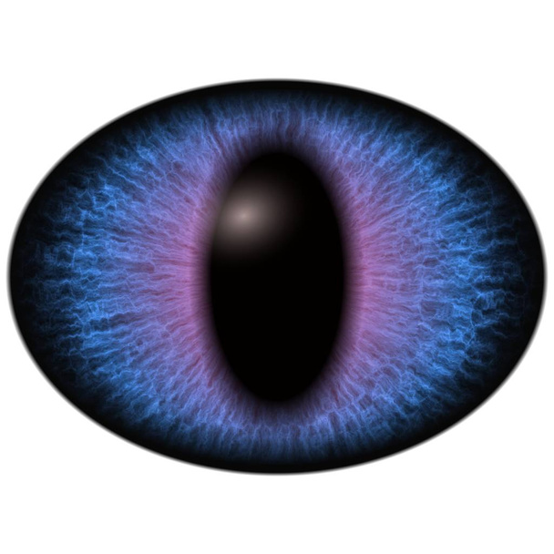 Απομονωμένο γαλάζιο μάτι. Μεγάλο μάτι ελλειπτικά με ριγέ ίριδα και σκούρα λεπτή ελλειπτικών κόρη - Φωτογραφία, εικόνα