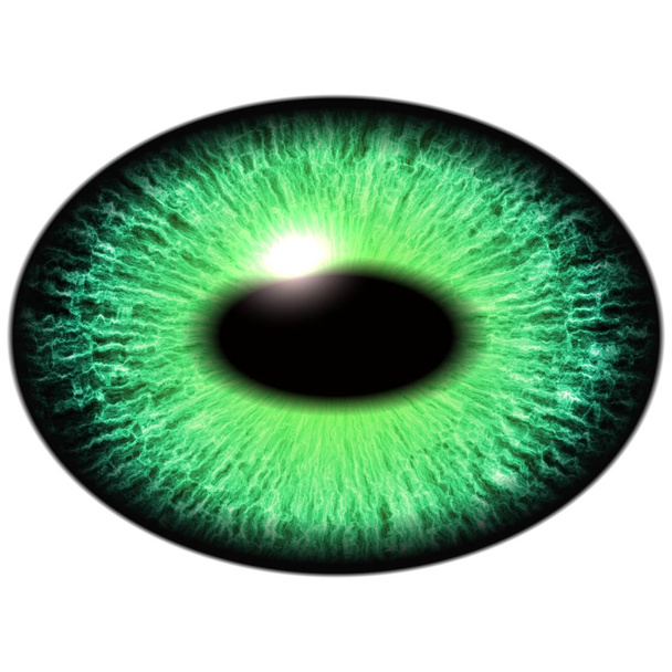 Ještěrku zelenou oko s tenkou žáka a temné sítnice v pozadí. Tmavě zelená iris - Fotografie, Obrázek
